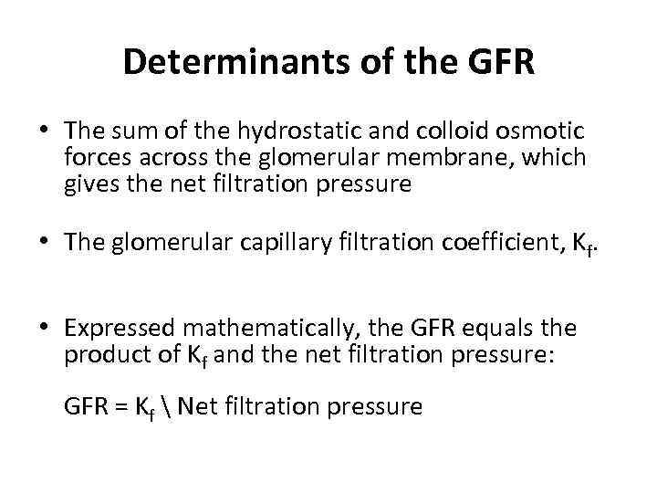 Determinants of the GFR • The sum of the hydrostatic and colloid osmotic forces