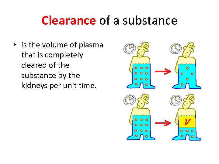 Clearance of a substance • is the volume of plasma that is completely cleared