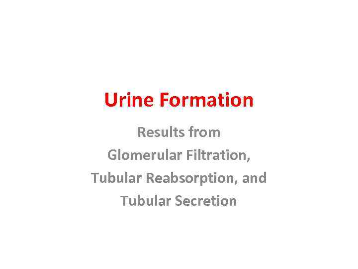 Urine Formation Results from Glomerular Filtration, Tubular Reabsorption, and Tubular Secretion 