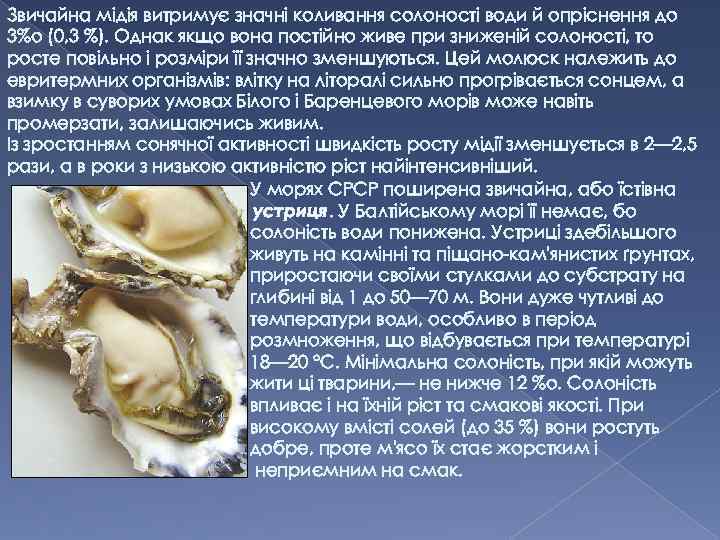 Звичайна мідія витримує значні коливання солоності води й опріснення до 3%о (0, 3 %).