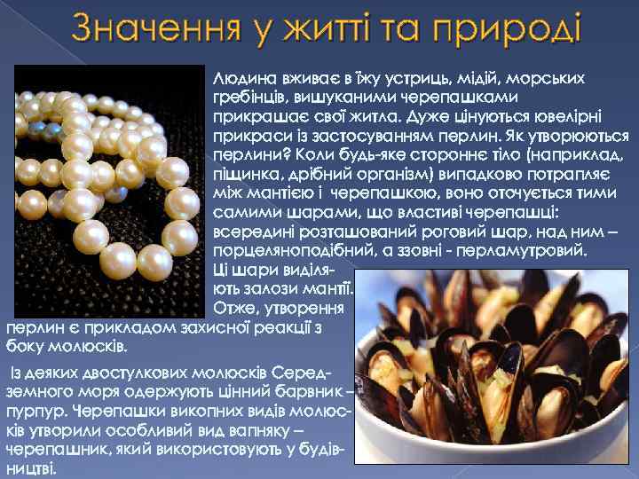 Значення у житті та природі Людина вживає в їжу устриць, мідій, морських гребінців, вишуканими