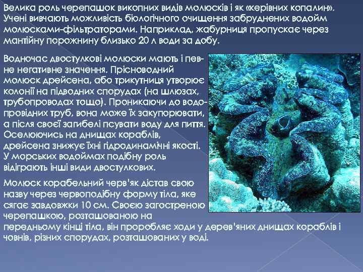 Велика роль черепашок викопних видів молюсків і як «керівних копалин» . Учені вивчають можливість