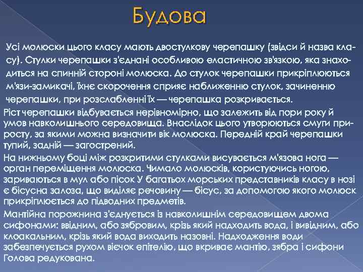 Будова Усі молюски цього класу мають двостулкову черепашку (звідси й назва класу). Стулки черепашки