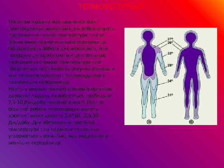 ТЕРМОРЕГУЛЯЦІЯ Організм людини має компенсаторні пристосувальні механізми, які забезпечують підтримання певної температури тіла за