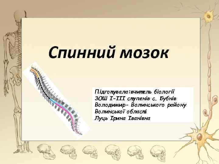 Спинний мозок Підготувала: вчитель біології ЗОШ І-ІІІ ступенів с. Бубнів Володимир- Волинського району Волинської