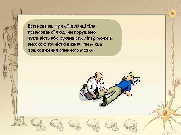 Встановивши, у якій ділянці тіла травмованої людини порушено чутливість або рухливість, лікар може з