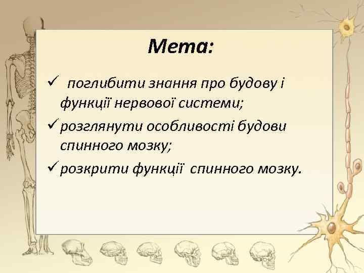 Мета: ü поглибити знання про будову і функції нервової системи; ü розглянути особливості будови