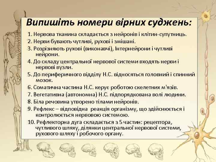 Випишіть номери вірних суджень: 1. Нервова тканина складається з нейронів і клітин-супутниць. 2. Нерви