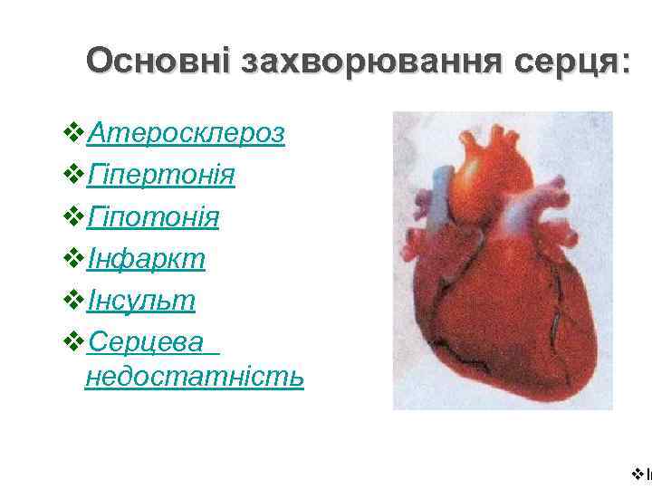 Основні захворювання серця: v. Атеросклероз v. Гіпертонія v. Гіпотонія vІнфаркт vІнсульт v. Серцева недостатність