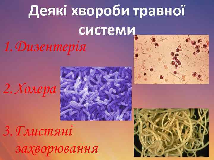 Деякі хвороби травної системи 1. Дизентерія 2. Холера 3. Глистяні захворювання 