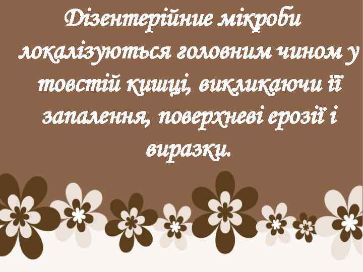 Дізентерійние мікроби локалізуються головним чином у товстій кишці, викликаючи її запалення, поверхневі ерозії і