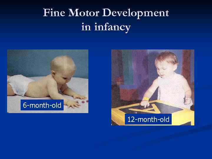 Fine Motor Development in infancy 6 -month-old 12 -month-old 