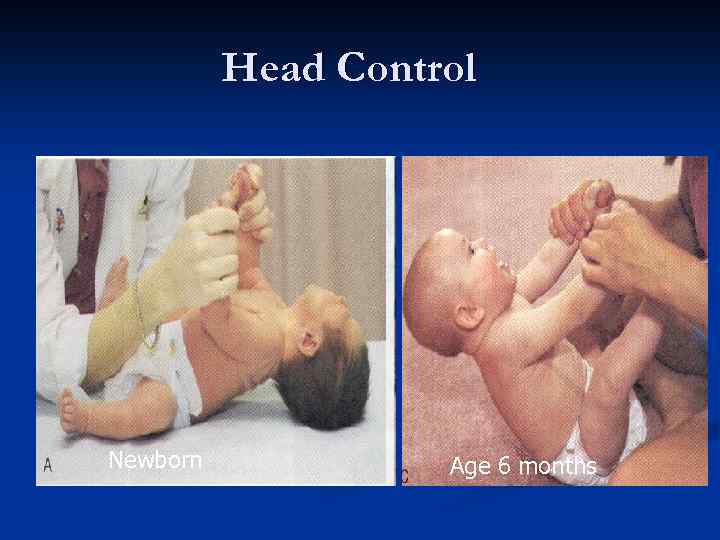 Head Control Newborn Age 6 months 