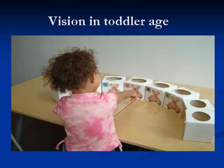 Vision in toddler age 