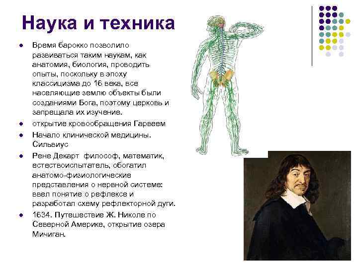 Наука и техника l l l Время барокко позволило развиваться таким наукам, как анатомия,