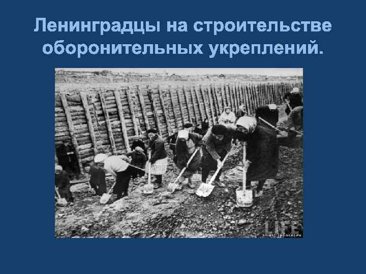 Ленинградцы на строительстве оборонительных укреплений. 