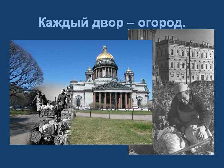 Каждый двор – огород. 