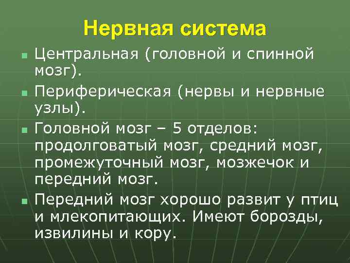 Нервная система n n Центральная (головной и спинной мозг). Периферическая (нервы и нервные узлы).