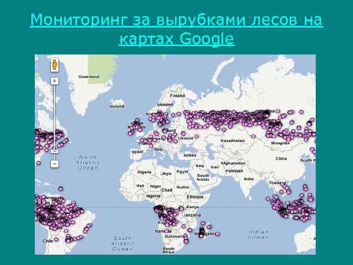 Мониторинг за вырубками лесов на картах Google 