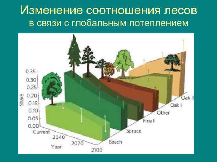 Изменение соотношения лесов в связи с глобальным потеплением 