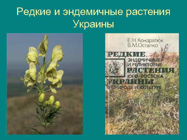 Редкие и эндемичные растения Украины 