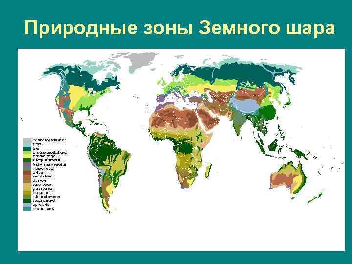 Зоны земли. Природные зоны земного шара. Природные зоны на земном шаре. Карта природных зон земного шара. Биомы России.