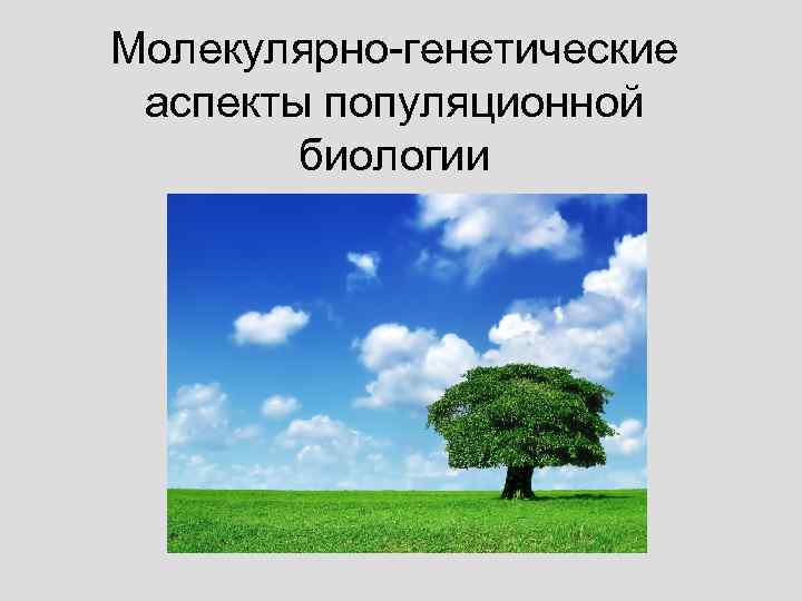 Молекулярно-генетические аспекты популяционной биологии 