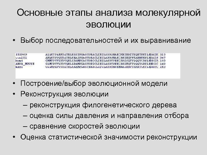 Основные этапы анализа молекулярной эволюции • Выбор последовательностей и их выравнивание • Построение/выбор эволюционной