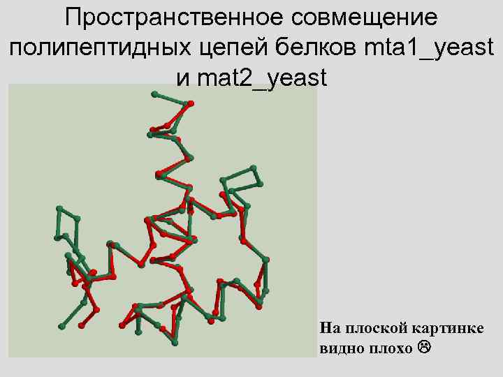 Пространственное совмещение полипептидных цепей белков mta 1_yeast и mat 2_yeast На плоской картинке видно