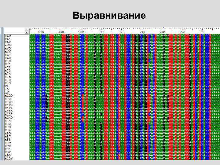 Выравнивание 