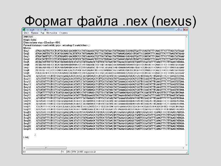 Формат файла. nex (nexus) 