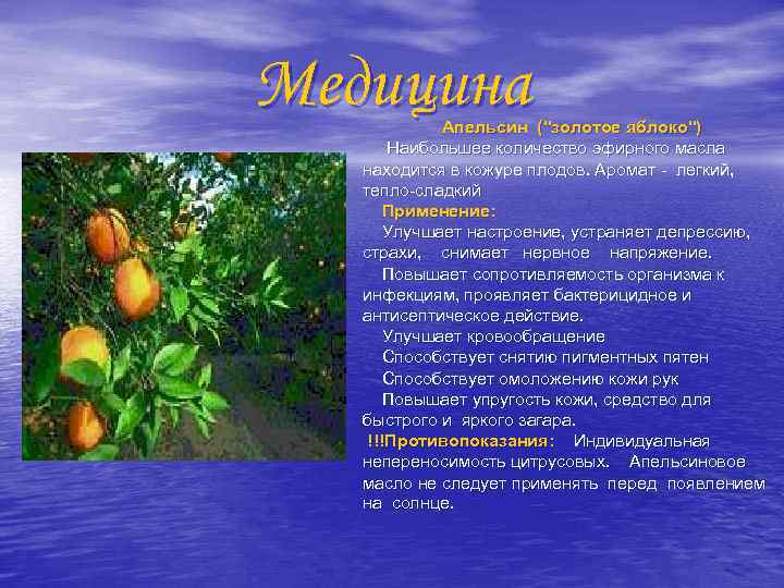 Медицина Апельсин (