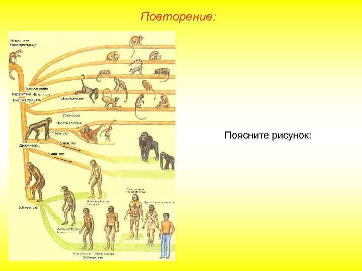 Повторение: Поясните рисунок: 