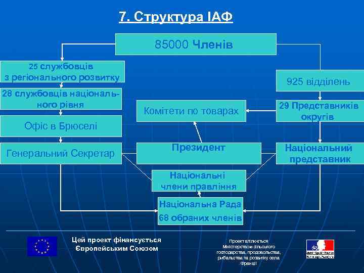 7. Структура ІАФ 85000 Членів 25 службовців з регіонального розвитку 28 службовців національного рівня