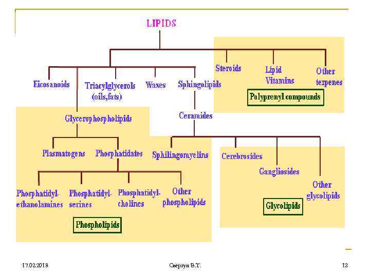 17. 02. 2018 Свергун В. Т. 12 