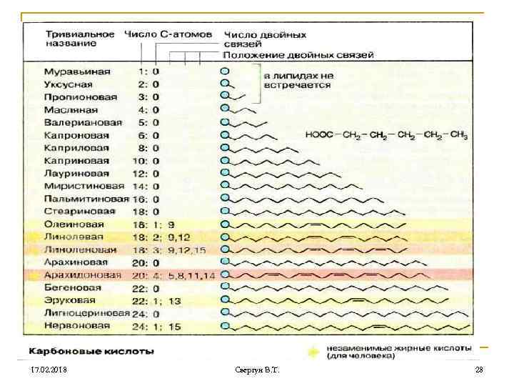 17. 02. 2018 Свергун В. Т. 28 