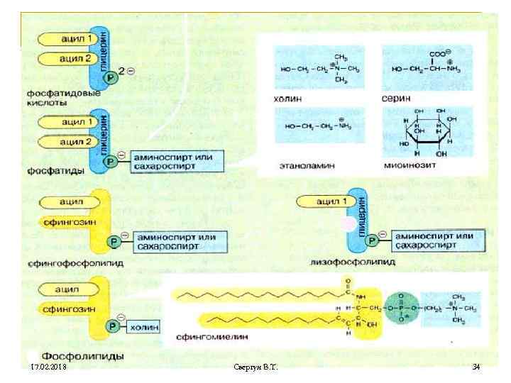 17. 02. 2018 Свергун В. Т. 34 