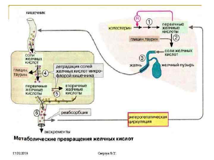 17. 02. 2018 Свергун В. Т. 