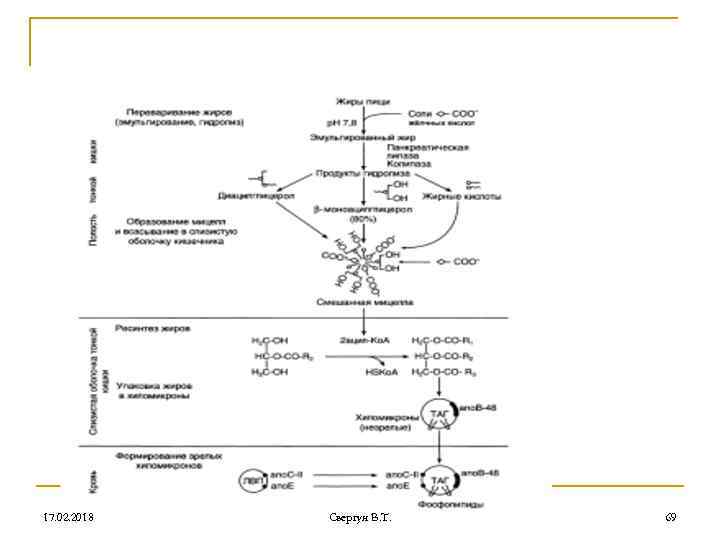 17. 02. 2018 Свергун В. Т. 69 