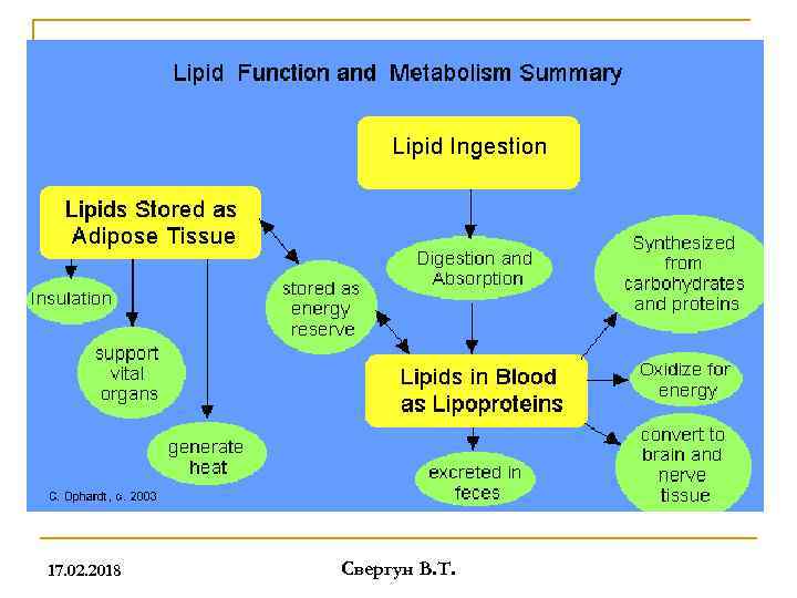 17. 02. 2018 Свергун В. Т. 