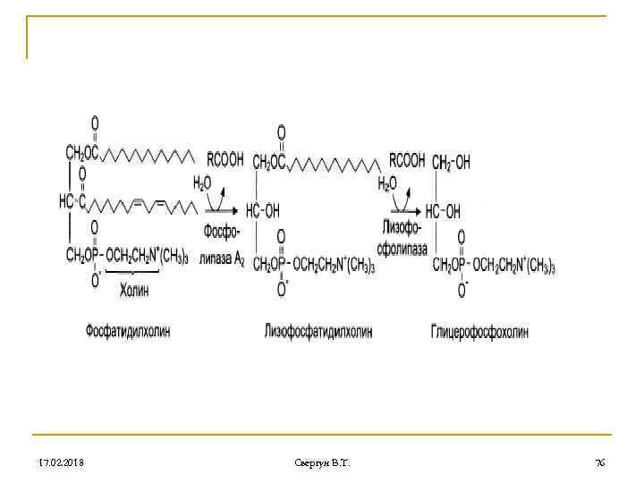 17. 02. 2018 Свергун В. Т. 76 