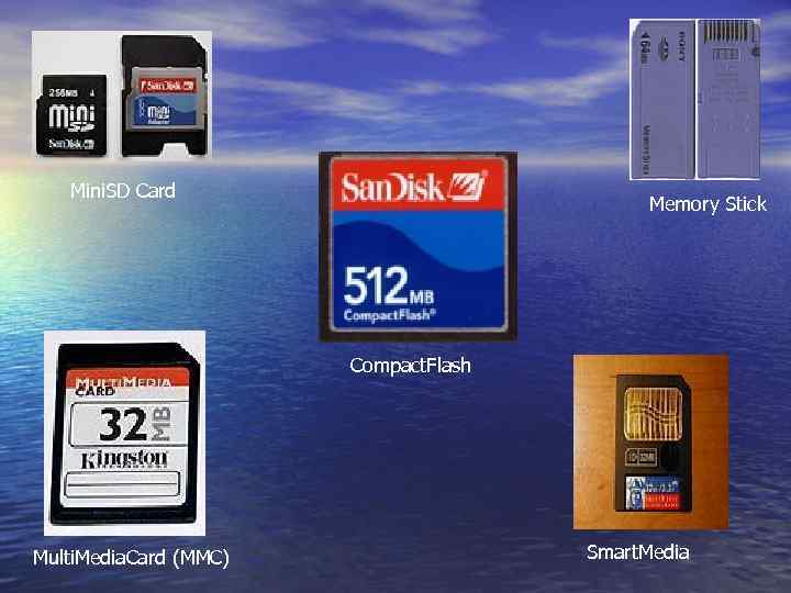 Mini. SD Card Memory Stick Compact. Flash Multi. Media. Card (MMC) Smart. Media 