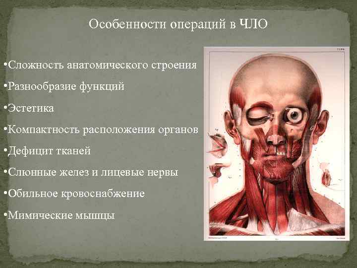 Особенности операций в ЧЛО • Сложность анатомического строения • Разнообразие функций • Эстетика •