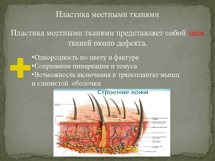 Пластика местными тканями представляет собой заем тканей около дефекта. • Однородность по цвету и