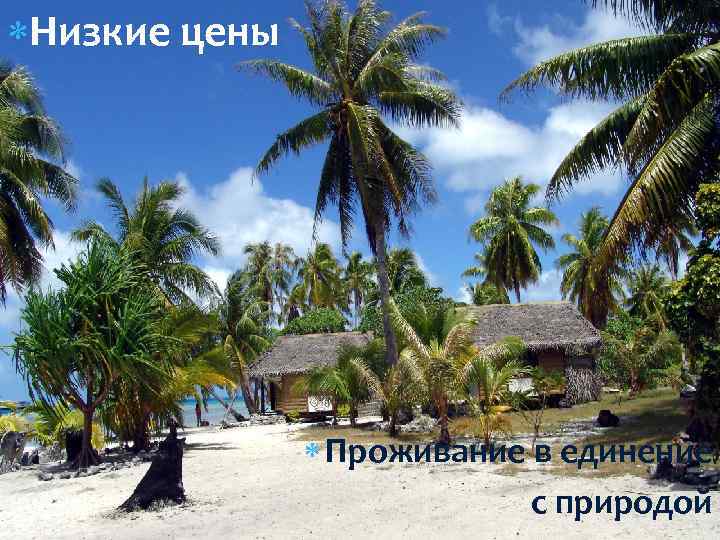  Низкие цены Проживание в единение с природой 