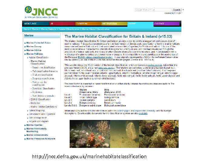 http: //jncc. defra. gov. uk/marinehabitatclassification 