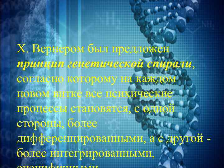 X. Вернером был предложен принцип генетической спирали, спирали согласно которому на каждом новом витке