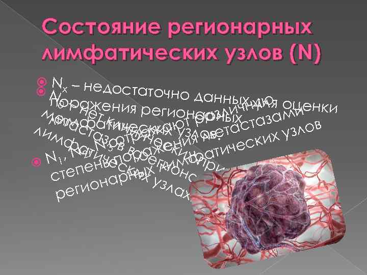 Состояние регионарных лимфатических узлов (N) N N х – недостаточ но данных д п