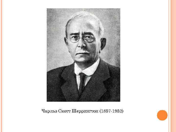 Чарльз Скотт Шеррингтон (1857 -1952) 