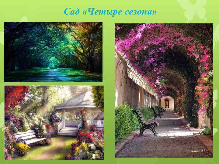 Сад «Четыре сезона» 